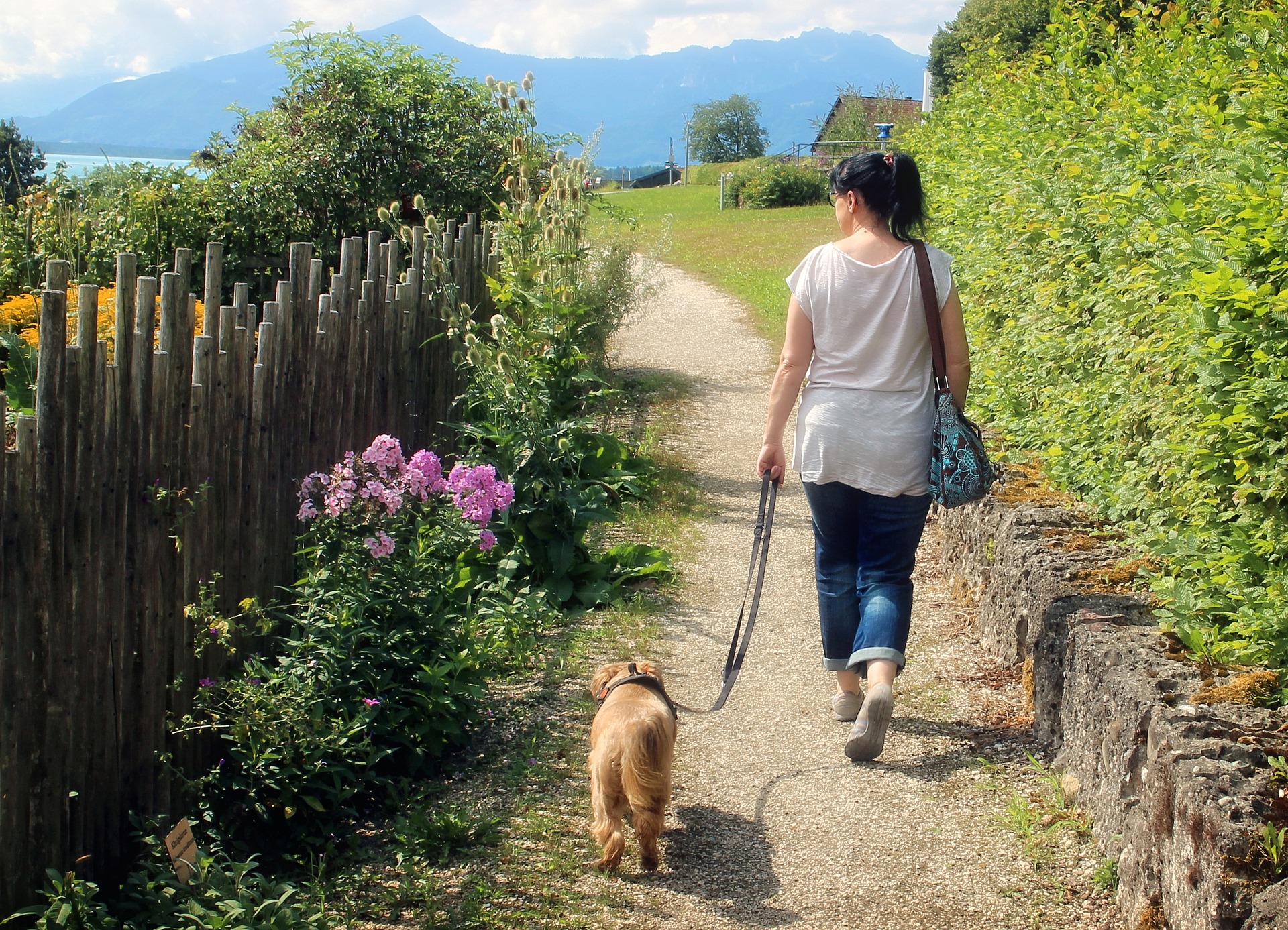 Mit dem Hund entspannt Gassi gehen