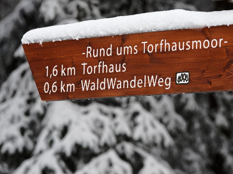 Das legendäre Gastro-Comeback des Jahres: Der Wienerwald