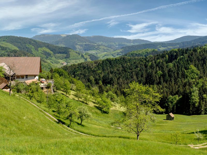 Schwarzwald: Die besten Tipps für den Familienausflug