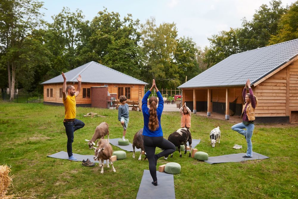 Center Parcs Het Meerdal bietet einzigartige Naturerlebnisse