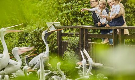 Am 15. Mai ist internationaler Tag der Familie: Der Weltvogelpark berichtet von Rabeneltern, Patchworkfamilien und verjagtem Nachwuchs